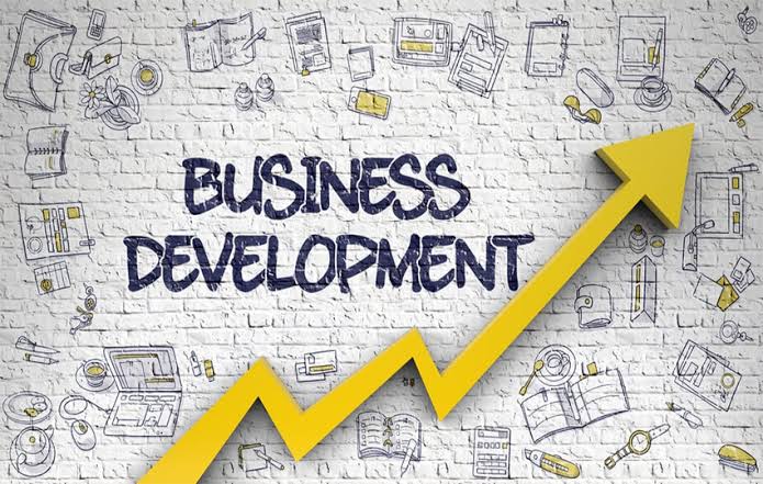 Thorough Guide on Business Development and Sustainable Business Strategies